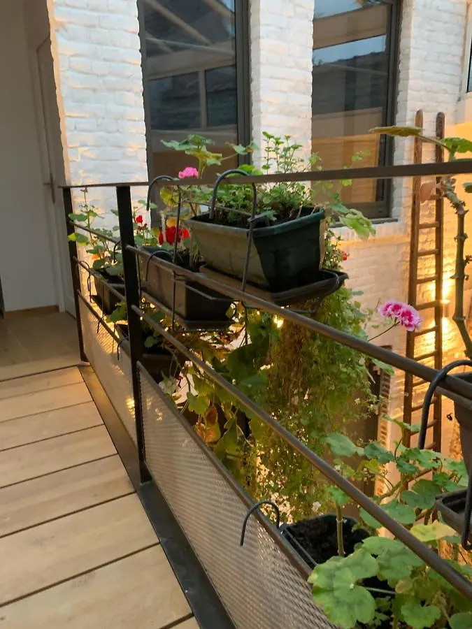 Galerie Jacqueline Storme Hotel Lille Guest house